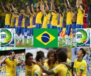 Puzzle Βραζιλία Κύπελλο Συνομοσπονδιών FIFA 2013